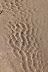 Fototapeta na wymiar footprints in the sand