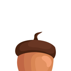 season autumn nut isolated icon