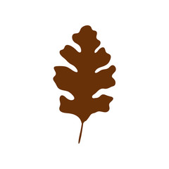 season autumn leaf isolated icon