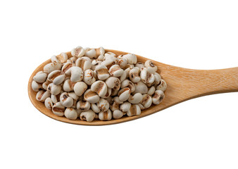 Job`s tears,Adlay,millet or Pivot in wooden spoon isolated on white background.Scientific name is Cox lacrima job.,Harb.cereal.top view.