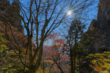 Obraz premium 妙義山の紅葉