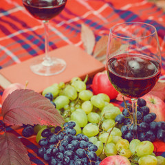 Autumn naturmort with vine fruits and book 