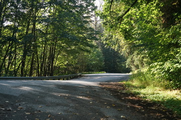 Obraz premium Mount Baker, Washington