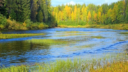 on a stormy taiga river in autumn day