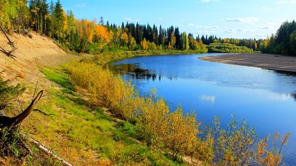 quiet bright sunny autumn day on the bank of a taiga river