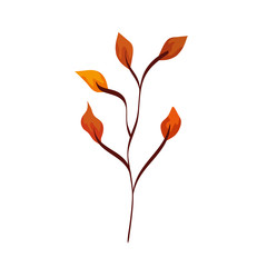 season autumn branch with leafs