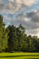 Obraz premium Stunning Summer sunset landscape image of forest in lovely soft light and lush green foliage