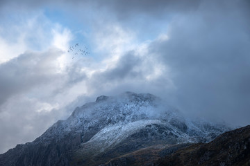 Stunning moody dramatic Winter landscape image of snowcapped Tryfan mountain in Snowdonia with stormy weather brooding overhead with birds flying high above