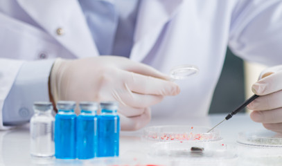 Male doctor working in the lab on virus vaccine