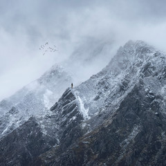 Stunning detail landscape images of snowcapped Pen Yr Ole Wen mountain in Snowdonia during dramatic moody Winter storm with birds flying high above