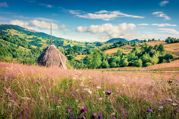 Splendid morning scene of Rogojel village. Picturesque summer landscape of Cluj County, Romania,...