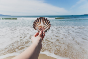 hand holding big colorful shell in front of pristine deserted beach bokeh