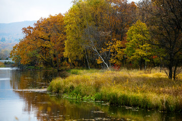 Panele Szklane  Piękny jesienny krajobraz. Złota jesień w lesie.