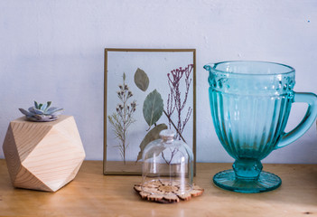 Still life herbarium under glass, herbarium, succulent and decanter
