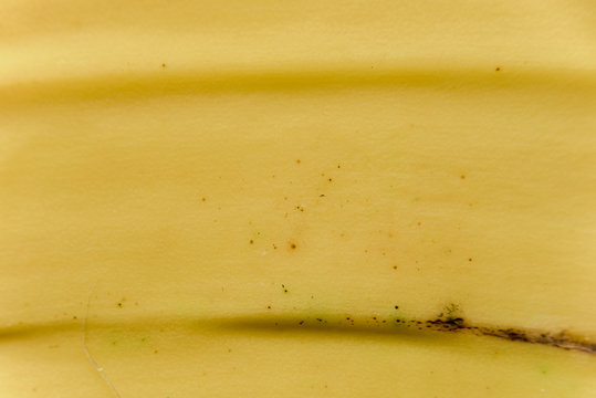 Ripe Banana Peel Macro Surface For Texture Or Background