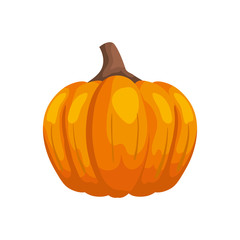 season autumn pumpkin isolated icon