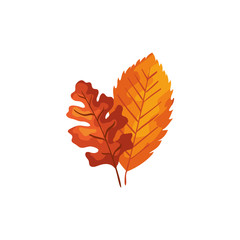 season autumn leafs isolated icon