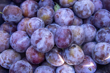 juicy ripe plums from the garden