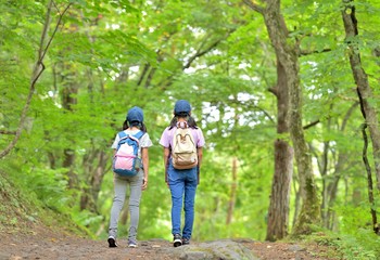 緑の森を歩く二人