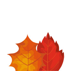 season autumn leafs isolated icon