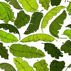 Seamless pattern of exotic banana leaves, randomly scattered and isolated on a transparent background.