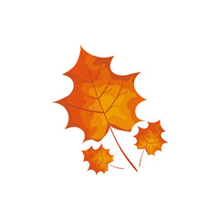 season autumn leafs isolated icon