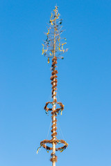 Maibaum im Spätsommer