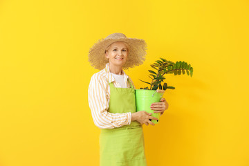 Portrait of female gardener on color background © Pixel-Shot