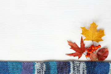 blue scarf with maple leaves and rowan berries on the table top view. place for an inscription in autumn motives