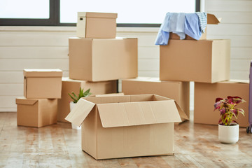 In foreground large open cardboard box, background nine boxes and flower in pot