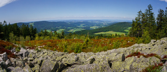 Gipfel der Käsplatte im bayerischen Wald