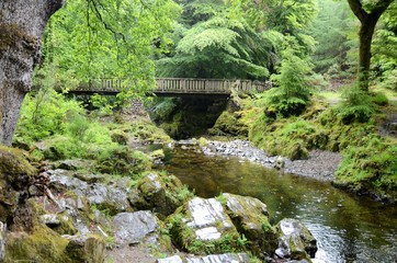 Ireland Bridge