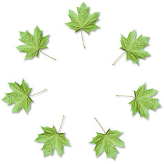 Maple leaves organized in round frame with copy space. Fall background.