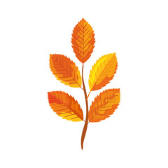 season autumn branch with leafs