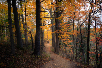 Fototapeta na wymiar Beautiful fall autumn landscape near Toronto Canada
