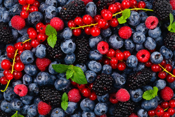 Blackberry, raspberry, blueberry,  red currant and mint background.