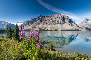 Bow lake, Banff National Park, Alberta, Canada