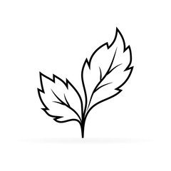 Leaf icon, logo. Spring, summer or autumn  symbol. Outline vector illustration.