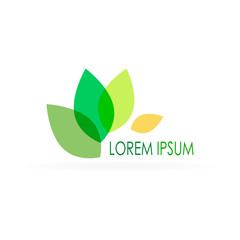 lorem ipsum design with green leaves, eco icon, logo for spa salon etc, vector illustration