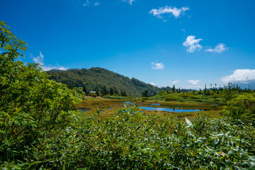 Fototapeta na wymiar 火打山の麓から高谷池ヒュッテ、テント場、池沼を望む風景