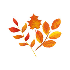 Naklejka premium season autumn branches with leafs
