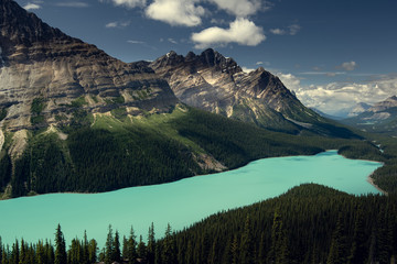 Beautiful Peyto Lake, Banff National Park, Alberta, Canada