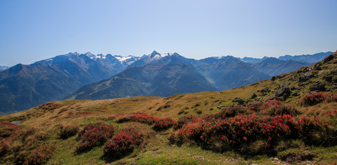 Fototapeta premium Alpenglühen mit Blick in die Hohen Tauern.