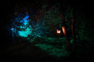 Horror Halloween concept. Burning old oil lamp in forest at night. Night scenery of a nightmare...