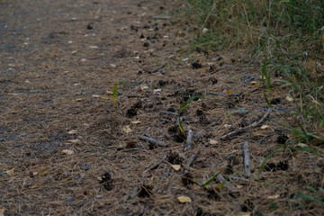 plowed field in spring