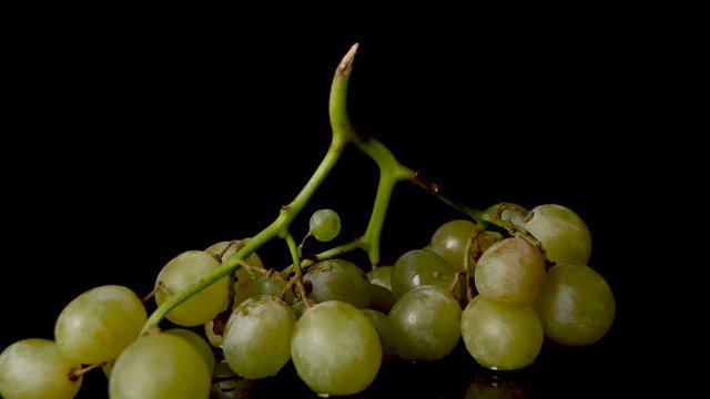 A static slow motion footage under controlled studio lighting,showing bunch of grapes falling on a table with water splashing ,isolated on a black background. A close up view.(1)