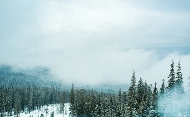 Papier Peint photo Forêt dans le brouillard Vue sur les hautes montagnes enneigées