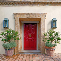contemporary luxury house entrance red door and flowerpots