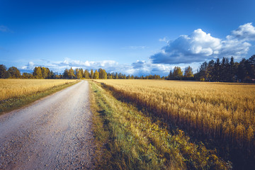 Fototapeta na wymiar Finnish countryside view. Road and fields. Photo from Kajaani, Finland.