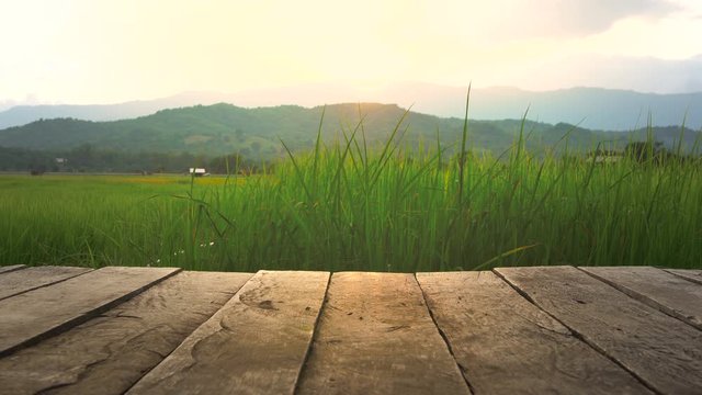 old brown wooden floor beside green rice field in the evening on Thailand for use video background, 4K Resolution slider camera shots